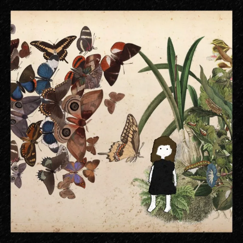 the butterfly people